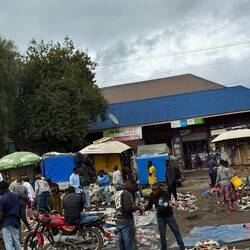 ...edle Designschuhe suchen stilbewußte Käufer....