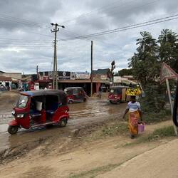 ...trotz Dreck und Schlamm, die Damen sind sauber und adrett!