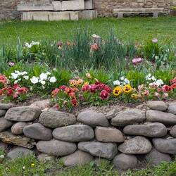 Liebevoll gestaltetes Blumenbeet im Burghof