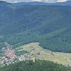 Blick vom Château du Hohlsndsbourg zur Pflixburg