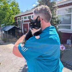 Cindy getting cuddles
