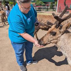 Cindy feeding the reindeer