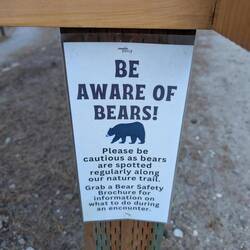 Bear signs