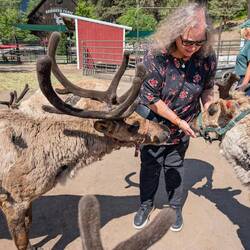 Ms. D. feeding the reindeer
