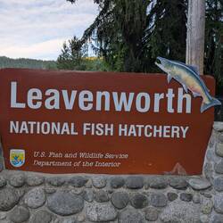 Drove out looking for bears