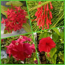 Suchte ich Flora und Fauna