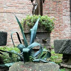 St Francis - my favourite Saint