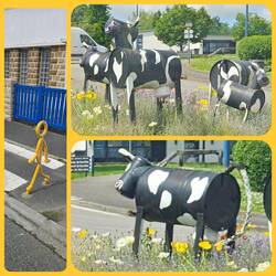 Amüsantes am Straßenrand... 😁