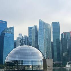 Apple Store mitten auf dem Wasser 🫣