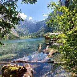 ....tolle Motive im Überfluss.