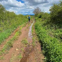 It didn't rain on us, but we had some muddy trails to navigate