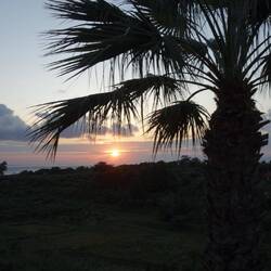 Sonnenaufgang vor dem Balkon