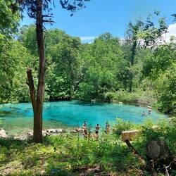 Ichetucknee Spring