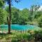 Ichetucknee Spring