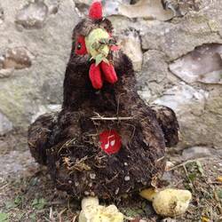 Einsames 🐔 am Straßenrand 😢