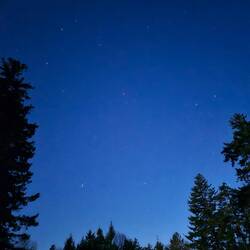 The view of the stars at night 💫