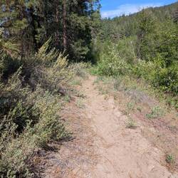 Trail Walking Beautiful Day