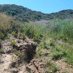 Vom Regen metertief ausgewaschene Wege
