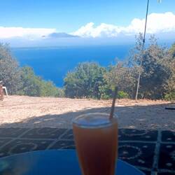 Frisch gepresster O-Saft