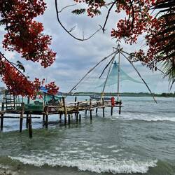 Filet de pêche chinois