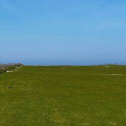 Kanninchenwiese wie bei den Teletubbys