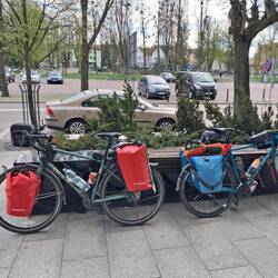 Nasze objuczone osiołki robocze