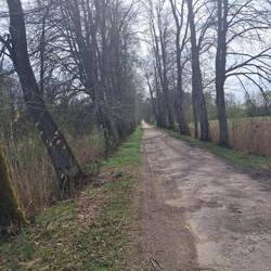 Nie do wiary, że takie drogi jeszcze istnieją