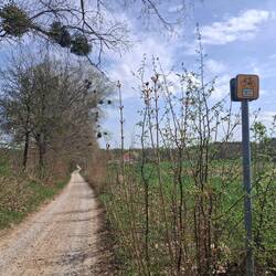 Ten pomarańczowy, mały znak to znak, że jadę właściwą drogą