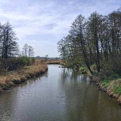 W oddali widać jeszcze katedrę