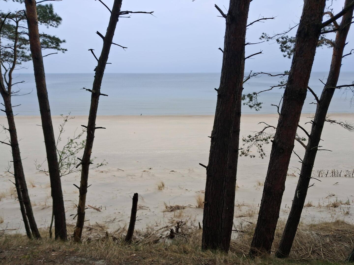 Plaże puste