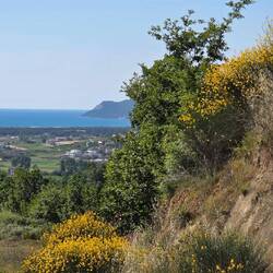 Schöner Platz, schöne Aussicht, wir bleiben
