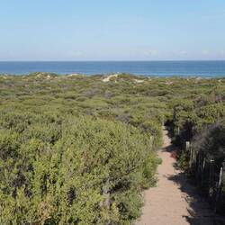 Der Weg geht durch die Dünen, ...