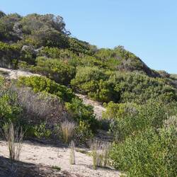 hoch und runter, ...