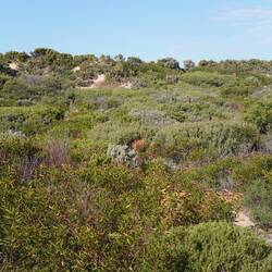 manchmal versteckt, ...