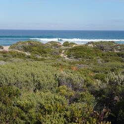 manchmal mit Blick auf den Ozean, ...