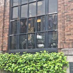 Schaufenster?