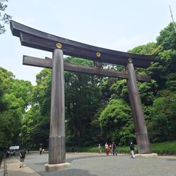 Eingang des Tempels das Torii-Tor