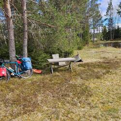 Mein Übernachtungsplatz. Das Zelt steht im Windschutz hinter den Tännchen...