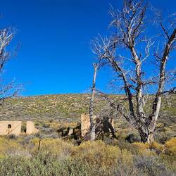 South Africa's contribution to the construction industry 😜