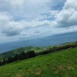 Im Juni blühen auf der Insel alle Abgrenzungen blau ... Hortensien ... jetzt noch nicht 😏