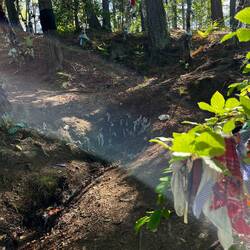 Interesting photo ? The rags are wishes.