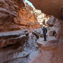 ... In den man lieber nicht fallen sollte!😅