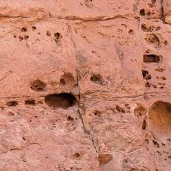 Die Wände haben Gesichter 🐸