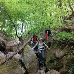 Dorfbachklamm