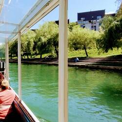 Out in the burbs on the river