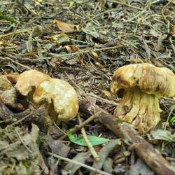 Das ist doch unglaublich.