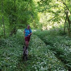 Auf Fotos ist der Kuckuck doch garnicht drauf!☝️😂