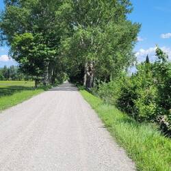 mit Allee erträglich, meist ohne - öde