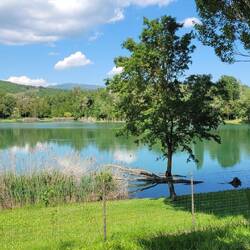 See eingezäunt 😒