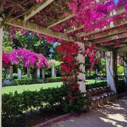 Pergola im Parque de Maria Luisa